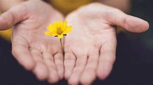 give about
